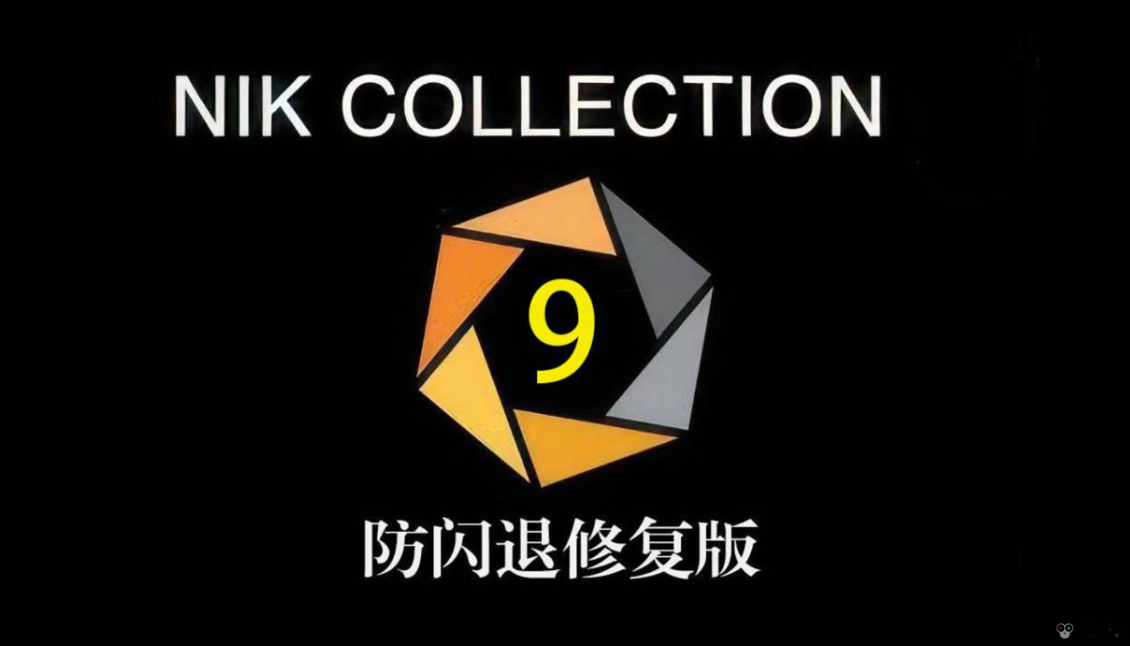 Nik Collection 9.0.0.11 闪退修复版（Win中文版）